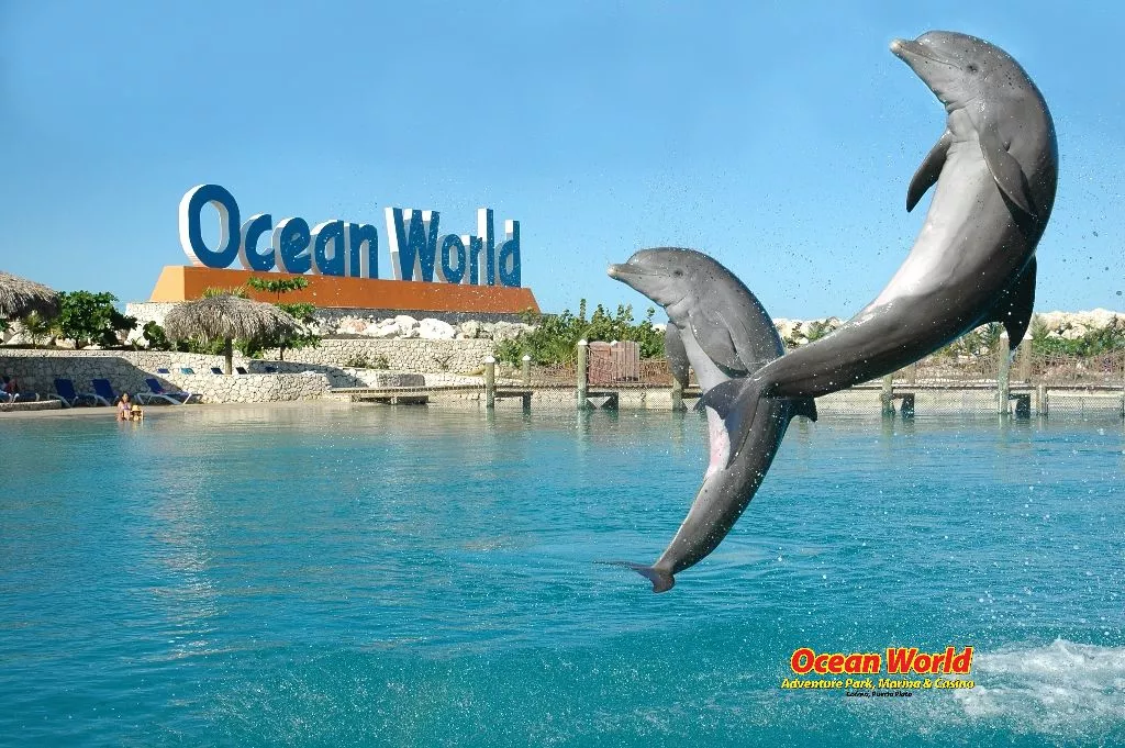Ocean World Adventure Park Puerto Plata